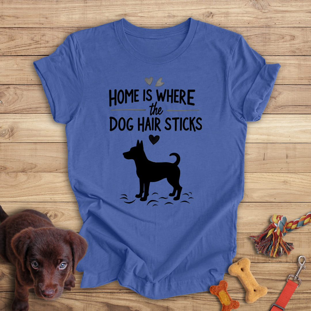 Home is Where the Dog Hair Sticks