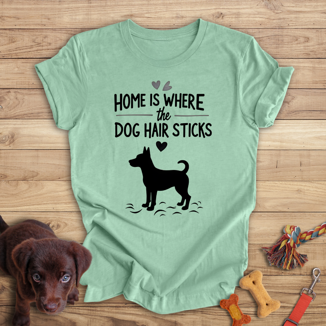 Home is Where the Dog Hair Sticks