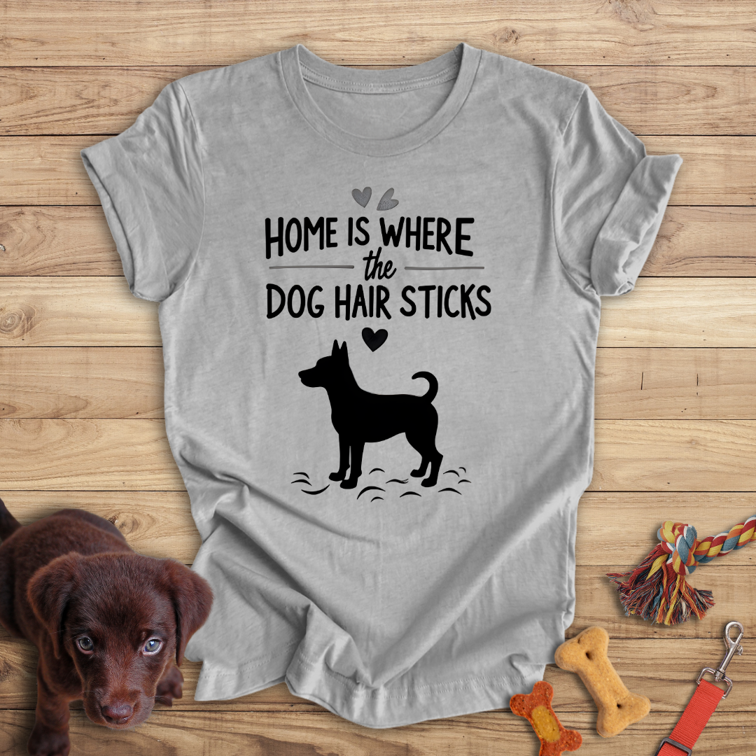 Home is Where the Dog Hair Sticks