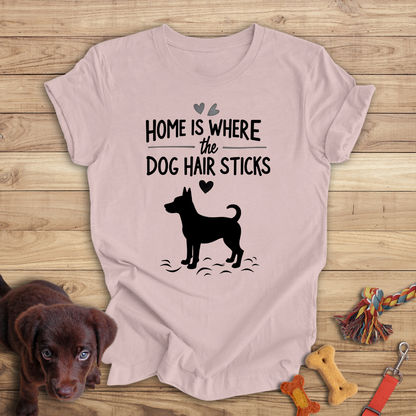 Home is Where the Dog Hair Sticks