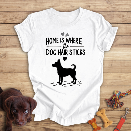 Home is Where the Dog Hair Sticks